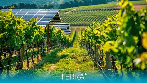 Planta solar industrial
